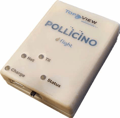 POLLICINO